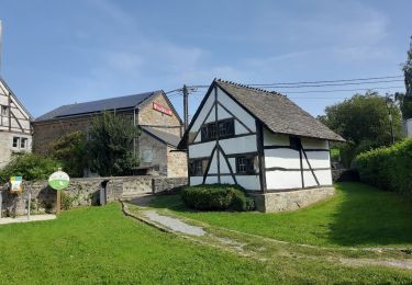 Trail Walking Durbuy - Wéris - Photo