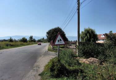 Tour Zu Fuß  - Semimaratonul Țării Făgărașului - Photo