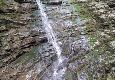 Trail Walking Saint-Laurent-du-Pont - Crêtes des Charmilles  - Photo