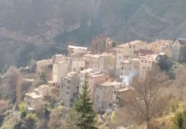 Tocht Te voet Pierlas - Tour du mont LIEUCHE - Photo