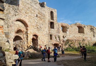 Trail Walking Staufen im Breisgau - ARCA STAUFFEN - Photo