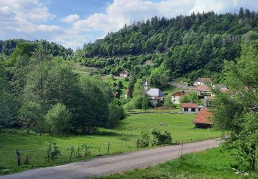 Tocht Stappen Le Thillot - Mines Thylllot - Photo