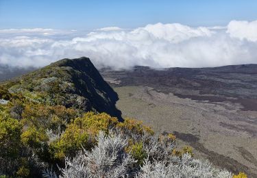 Tocht Stappen Sainte-Rose - Piton de la Fournaise (cratère Dolomieu) - Piton Partage - Photo