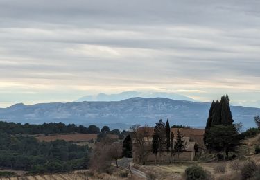Trail Walking Narbonne - La Clape hors des sentiers battus - Photo