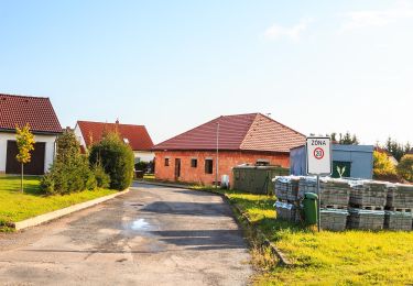 Randonnée A pied České Lhotice - NS Keltská stezka Železnými horami - Photo