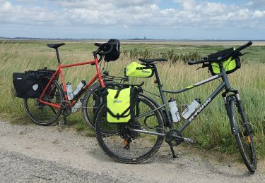 Trail Bicycle tourism Saint-Vaast-la-Hougue - Vélomaritime_Cherbourg_Caen_#J2_20210706_Saint-Vaast-La-Hougue_-_Utah_Beach - Photo