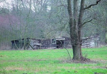 Randonnée A pied Westvoorne - Landgoederenpad - Photo