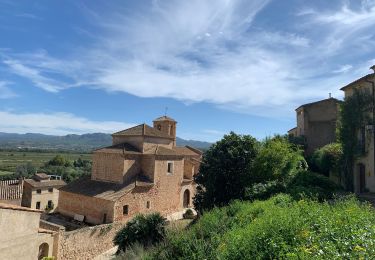 Tocht Stappen Miravet - Miravet alentours et Château  - Photo