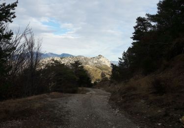 Tocht Stappen Puget-Théniers - La villa du Collet - La Penne Puget Theniers par le GR510 et le Gourdan - Photo