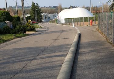 Percorso Marcia Lentilly - Santier des vaches LENTILLY  - Photo