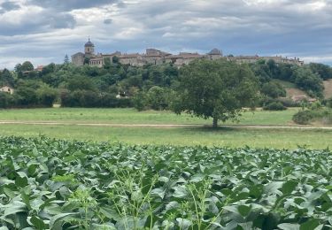 Trail Walking Bourg-Saint-Christophe - Perouges  - Photo