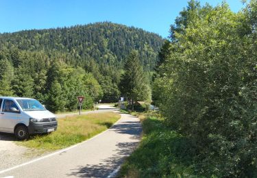 Trail Walking Xonrupt-Longemer - randonnée sur 2 jours des 5 lacs dans les Vosges ( longemer, blanchemer, lispach, Retournemer, de la lande) - Photo