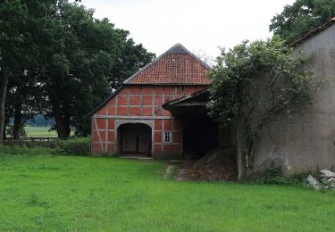 Trail On foot Eschede - Südheide 'Magische Orte längs des Weges' W20l (lange Tour) - Photo