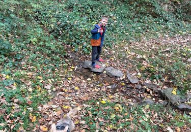 Trail sport Le Bonhomme - Le bonhomme col des bagenelles  - Photo