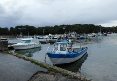 Tour Wandern Séné - 56-Sene-Ranquin-Port-Anna-6.5km - Photo