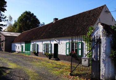 Tocht Te voet Gent - Vinderhoutse Bossen wandeling - Photo