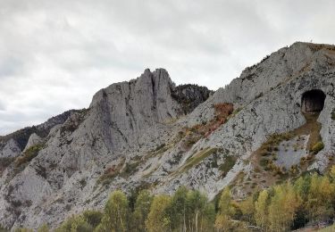 Randonnée A pied  - Runc - Vârful Scărița - Rezervația Scărița Belioara - Photo