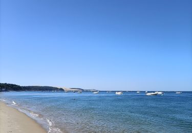 Trail Walking Arcachon - Arcachon - Photo