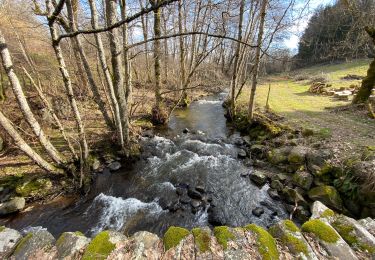 Tocht Stappen Laguiole - Laguiole Roc Del Cabres  - Photo