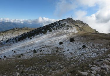 Tour Wandern Coursegoules - Sommet du Cheiron depuis Coursegoules - Photo
