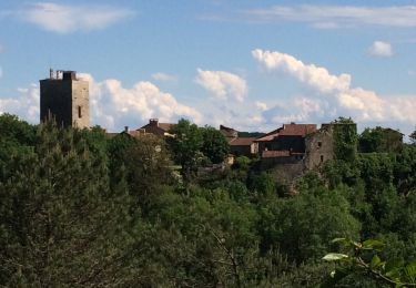 Trail Walking Cardaillac - Carcaillât sagnes  - Photo