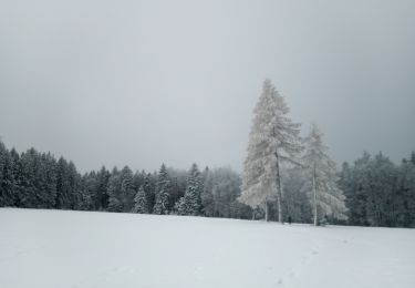 Trail Walking Grandfontaine - donon - Photo