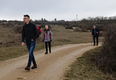 Randonnée Marche Westhalten - Westhalten - Rouffach  - Photo