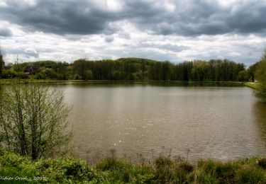 Trail Walking La Madeleine-Bouvet - Bretoncelles - La Madeleine-Bouvet 5,3 km - Photo