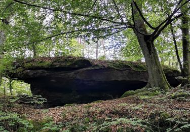 Randonnée A pied Hochspeyer - Hochspeyer Wanderweg 5 - Photo