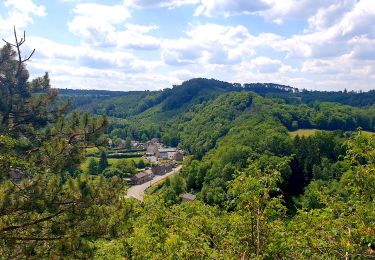 Trail Walking Durbuy - Balade à Bomal sur Ourthe - Photo