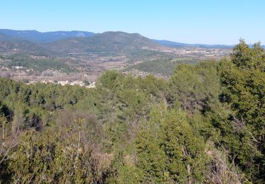 Tour Wandern Cessenon-sur-Orb - Cazedarnes - Photo