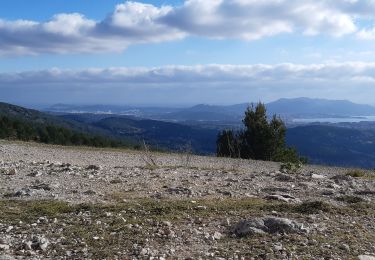 Randonnée Marche La Cadière-d'Azur - le gros cerveau - Photo