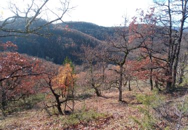 Tour Wandern Maxou - Bois des Carrières_la Dalhouse_Lirve_Revel 6,7 - Photo