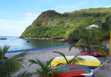 Randonnée Marche Anse d'Arlet - Morne Champagne  - Photo