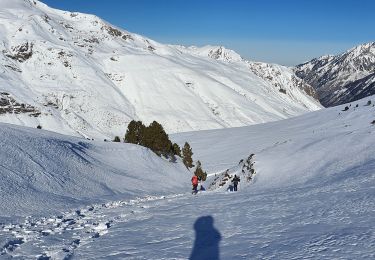 Tocht Stappen Porta - Pic dels Pedrons - Photo