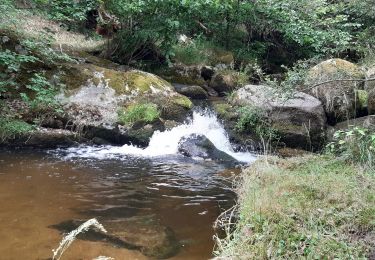 Randonnée Marche Saint-Alban-sur-Limagnole - la cascade du Franquet - Photo