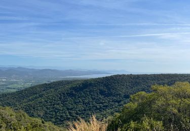 Trail Mountain bike Cogolin - Cogolin - Cavalaire - La Molle - Photo