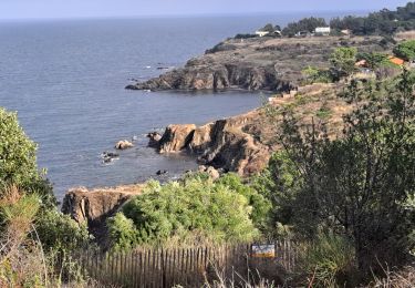 Trail Walking Argelès-sur-Mer - Argelès Collioure par la côte - Photo