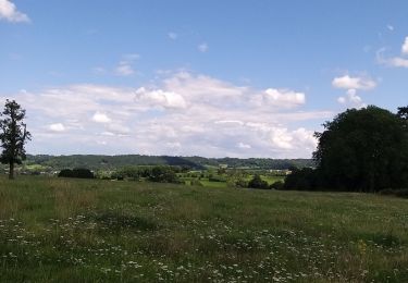 Tour Wandern Vuren - fourons st pierre JPF - Photo