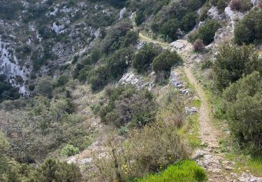 Tour Pfad Cheval-Blanc - Roquerousse-Pradon-Oppède-Maubec-Aiguille(30K1200D+) - Photo