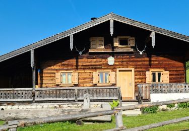 Percorso A piedi Oberaudorf - Wanderweg 662 - Unteres Sudelfeld - Wildalpjoch - Photo