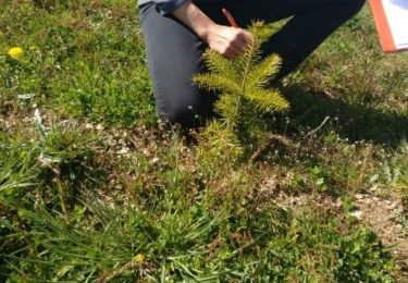Percorso A piedi Bièvre - Se mouvoir et s'émouvoir au gré de l'Ardenne insoupçonnée. Parcours complet - Photo