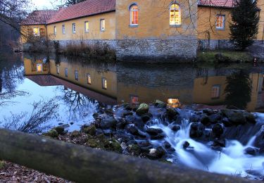 Percorso A piedi Schloß Holte-Stukenbrock - Rundwanderweg A9 - Photo