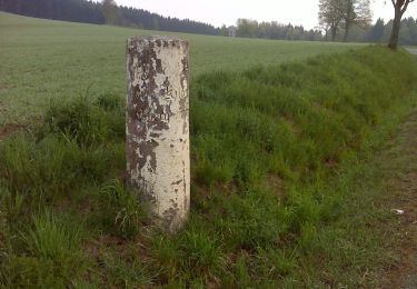 Percorso A piedi Marktleugast - Brunnen-Weg KU 71 - Photo