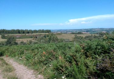 Trail Mountain bike Arvieu - arvieu est  - Photo