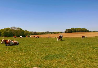 Excursión Senderismo Florennes - Balade de Rosée à Flavion par le village de Corenne - Photo