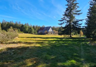 Tour Wandern Saint-Sauves-d'Auvergne - Charlannes-la_charbonnière-la_Stéle - Photo