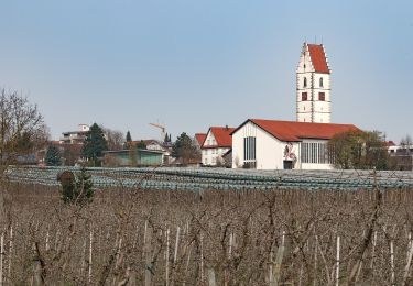 Randonnée A pied Oberteuringen - Teuringertal Bahnweg (