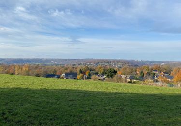 Trail Walking Esneux - Esneux - Photo