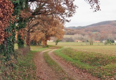 Randonnée A pied Les Cabannes - Boucle Les Cabannes/Bournazel/Cordes - Photo